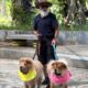 Cute Dog Collection, The World’s Cutest Puppies #dog #puppies #puppy #video #cute #cutest