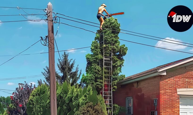 TOTAL IDIOTS AT WORK | Instant Regret Fails Compilation 2025 #446 | Best Fails of the Week