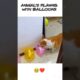ANIMAL'S PLAYING WITH BALLOONS 🥹❤️🤌🏻#viralshort #trendingshorts #cute#animals #ytshorts#youtubeshort