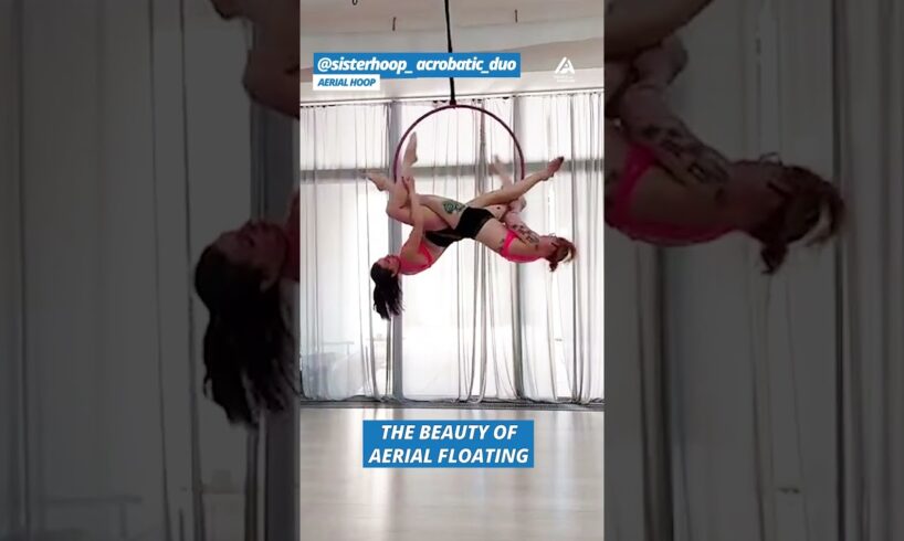 Aerial Silks & More | Driven | People Are Awesome