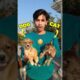 Billi Aur Puppy Ki Ladai 💀😨 |Mini Vlog #shorts #minivlog #ashortaday #vlog #tranding #cat #cats #dog