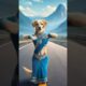 Dog dance video #dog #dogdance #funny #doggydance #doglover #cat #pets #animal #cute #hindisong
