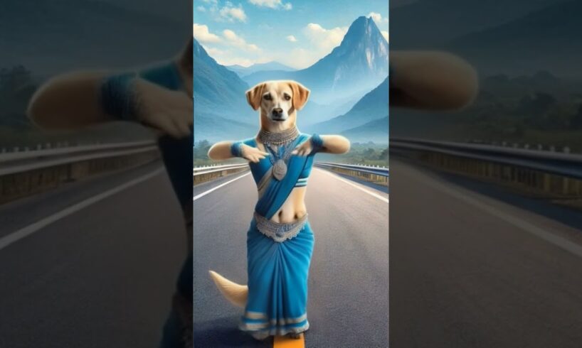 Dog dance video #dog #dogdance #funny #doggydance #doglover #cat #pets #animal #cute #hindisong