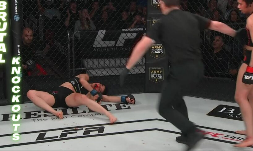 Top 50 Most Brutal Knockouts Of 2024 | MMA Knockouts