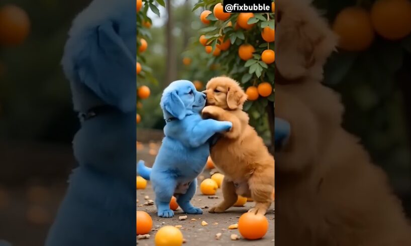 cute puppies barking🐶 part-2 #cute #puppy #doglover #shortvideo