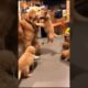 cute puppies playing with mother dog #puppy #dog #dogs #doglover #youtubeshorts #shorts #trending