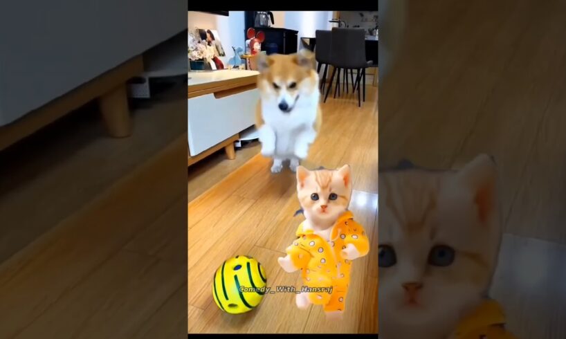 cute puppies viral dance 😅🥳 #dogdance #funny #doggydance #cutepuppies
