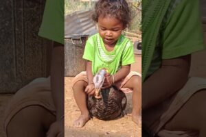 little boy playing with tarky bird #shortsvideo