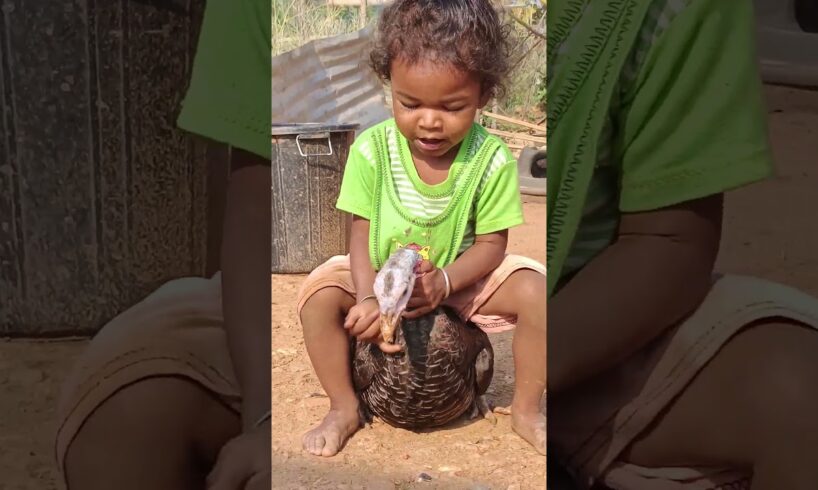 little boy playing with tarky bird #shortsvideo