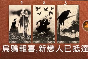 烏鴉報喜，新戀人已抵達❤️愛情占卜 / 觀看無日期限制 / CC(Sub)EN-JP-TC