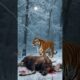 10 Epic Animal Battles: Who Will Dominate the Wild?