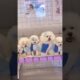 cute puppies funny moment cute overload ❤️#hellomochi #dog #bichon