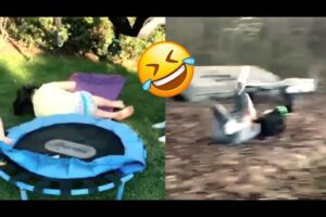 Best Fails of The Week: Funniest Fails Compilation: Funny Video Facts son Part 33
