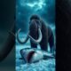 5 Insane Animal Fights 😳 – Only One Survives!