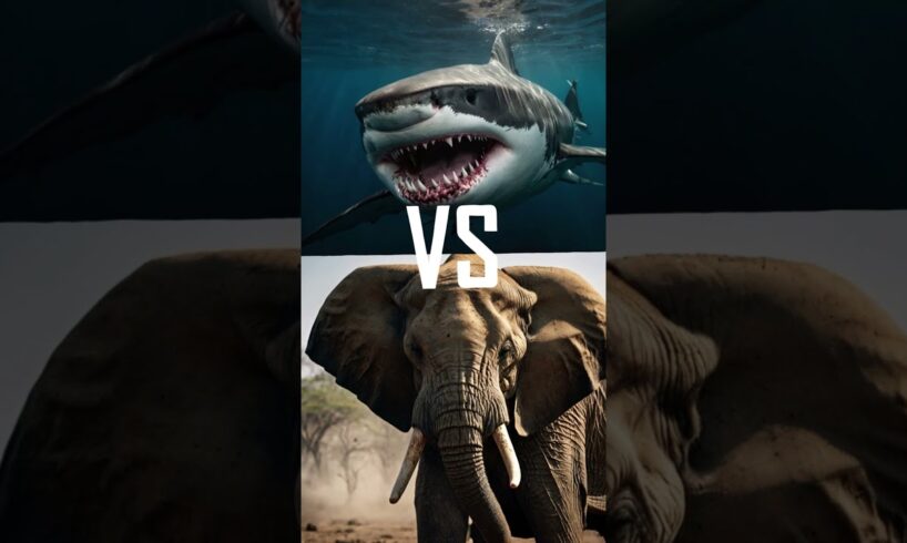 5 Insane Animal Fights – Shocking Winner! #animalfight #natureshowdown #wildlifebattle