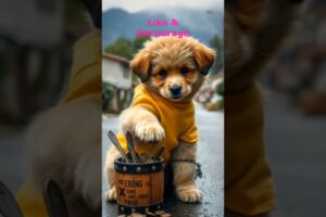 A Poor puppy insulted by his friends.. #puppies #cute #doggielife #puppylife #puppyvideos #puppypic