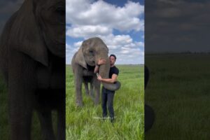 A Special Friendship With an Elephant 😍
