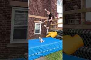 AMAZING trick with Dog! #dog #pet #cute #puppy #shorts