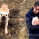 Abandoned and Alone: Mama Dog Fights to Save Her Babies | Full Rescue
