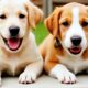 Adorable cute puppies barking