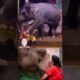 Animal Lover 😊
