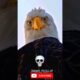 "Animals' Savage Death Stare: You Won't Believe These Reactions! 💀🔥" #SavageAnimals #DeathStare