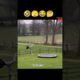 Best Fails of the week 😂🤣 funny video you missed!  #funny