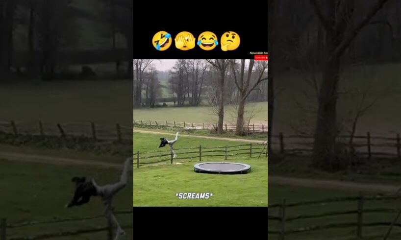 Best Fails of the week 😂🤣 funny video you missed!  #funny