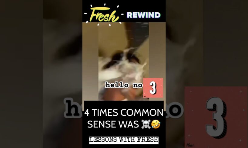 COMMON SENSE IS DEAD!🤣☠️ FRESH REWIND👊 #fail #comedy #funny