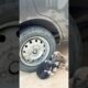 Cute Puppies #shortvideo