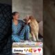 Cute puppies ❣️❤️‍🩹🐶 #dogbreed #goldenretriever #youtube #like #subcribe #subscribers #subscribe #yt
