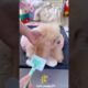 Cute puppy 🥰 and mummy funny 🤣 part _204mini wood toy ~woodworking  art' skills/hand craft #shorts
