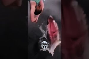 "Dangerous Moments Turned Hilarious |💀⚠️ Troll Face Edit Compilation"