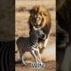 EPIC Animal Fights for Survival! 🦁 vs. 🦓 Predator vs. Prey Moments #shorts #animals #lion #wildlife