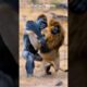 😱🦍Gorilla vs Lion brutal battle in dry savannah #animals #animal #short #wildlife #gorillatag #lion