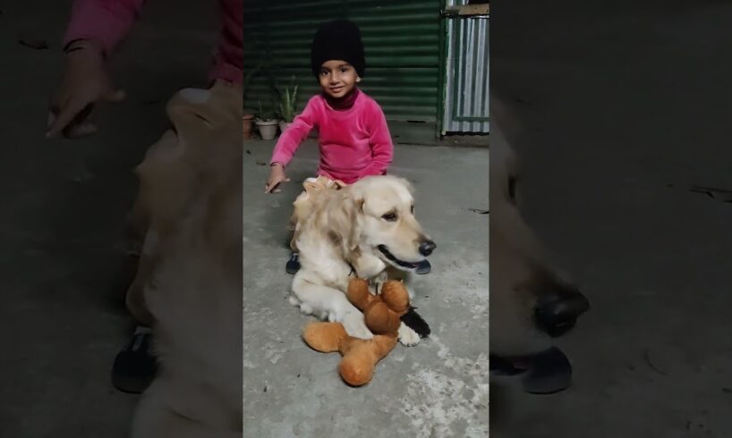 He will always be the cutest puppy #dog #goldenretriever