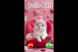 Incoming Call… from the Cutest Kitten Ever! 📞🐱💖📲 #incomingcall #cat #phonecall #smartphone #ringtone