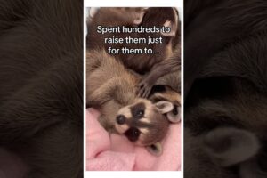 PLEASE HELP! #animals