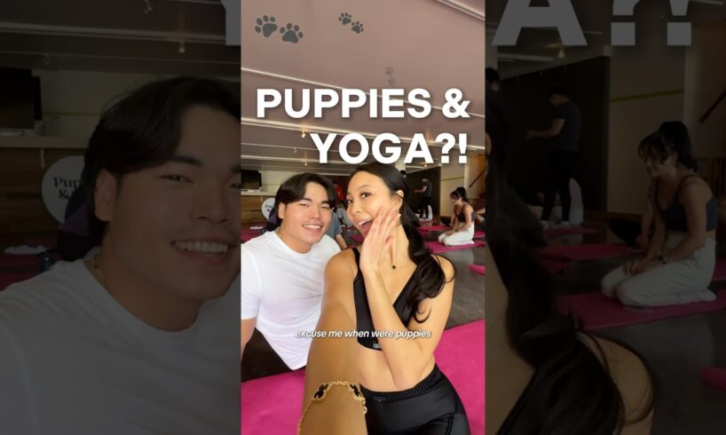 PUPPIES AND YOGA IS A REAL THING?! 😩😭🐶