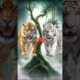 Siberian Tiger vs Animals & Jurassic World #animalbattle #whitebengaltiger