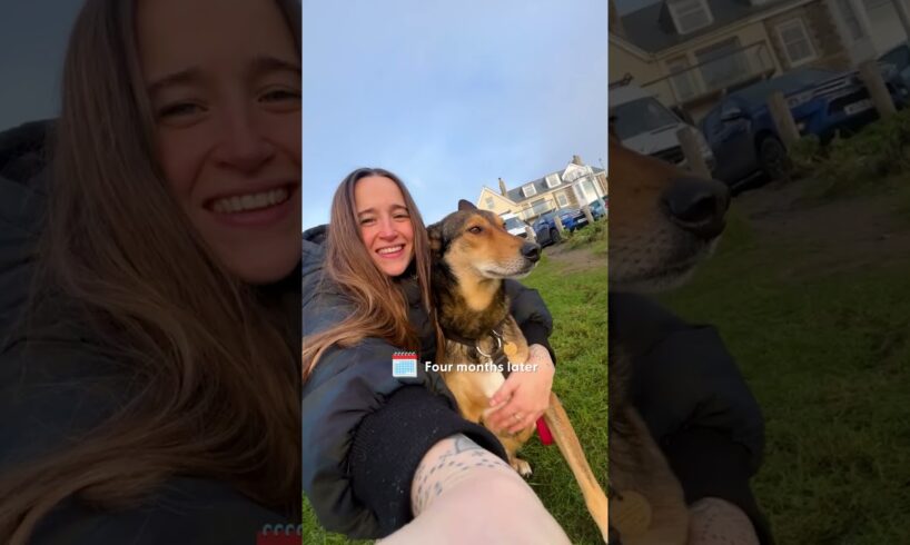 Terrified Rescue Dog Reunites With His Real Mom Years Later | The Dodo