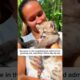 The snowy rescue of the cougar cub #animals #rescue #animalrescue #animalshorts