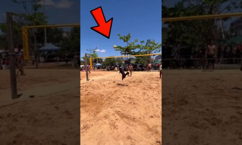 This dog is a brazilian volleyball player!😱#dog #amazing #animals