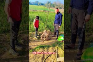 cute#puppies#wirl #trending#reels#🐕🐕🥹🥹