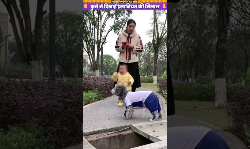 कुत्ते ने दिखाई इंसानियत की मिसाल 🙏 #animal #animalrescue #animallover #rescue #dog