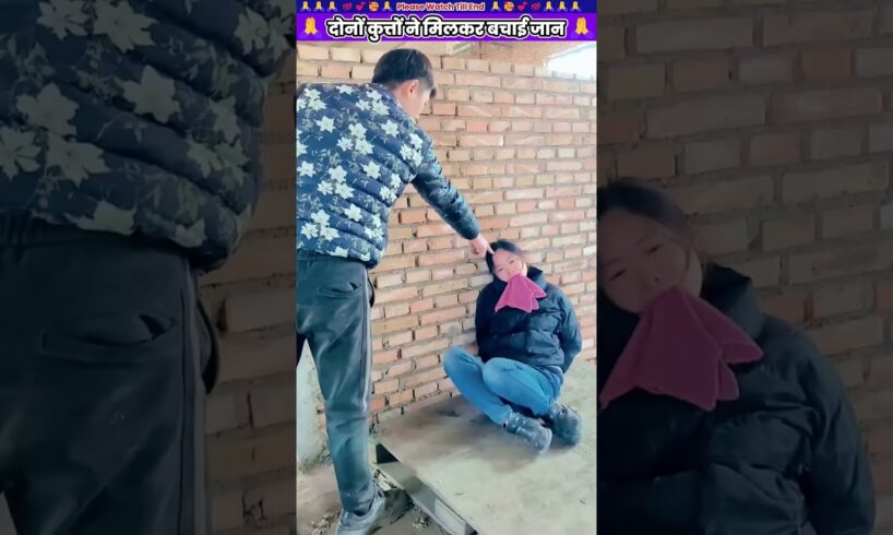 दोनों कुत्तों ने मिलकर बचाई जान 😱 #animal #animalrescue #animallover #rescue #dog