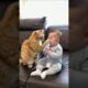 #120 Funniest Cats And Dogs videos 🐶🐱 #funny #animals #cuteanimals