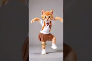 13❤😻🐾Cute kitten #cat #lovecats #cats #catvideos #kittens #catlover #princesscat #kitten