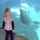 Best Fails of The Week: Funniest Fails Compilation: Funny Video Facts son Part 84