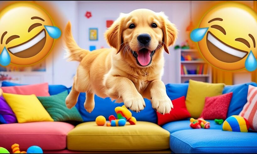 TRY NOT TO LAUGH – Funniest Animal Fails of the Week! 😂🐶🐱 #18